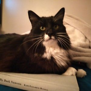 Meet your Posher, Donna